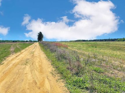 Property for sale in Marlboro County, South Carolina