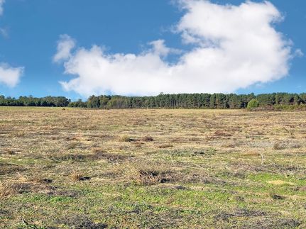 Property for sale in Marlboro County, South Carolina