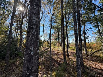 Property for sale in Tallapoosa County, Alabama