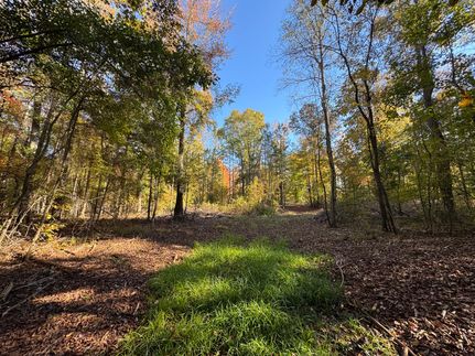 Undeveloped Land for sale in Tallapoosa County, Alabama