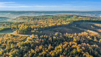 Hunting Land for sale in Marion County, Alabama