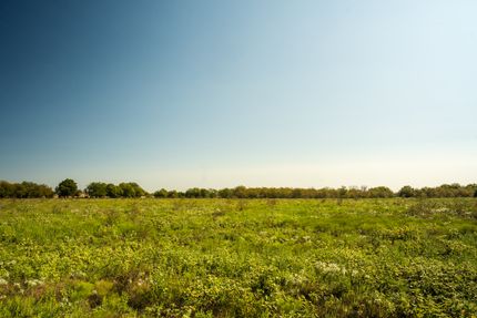 Recreational Property for sale in Fannin County, Texas