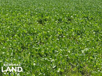 Property in Arkansas County, Arkansas