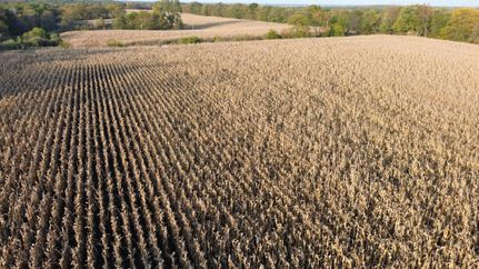 Property for sale in Davis County, Iowa