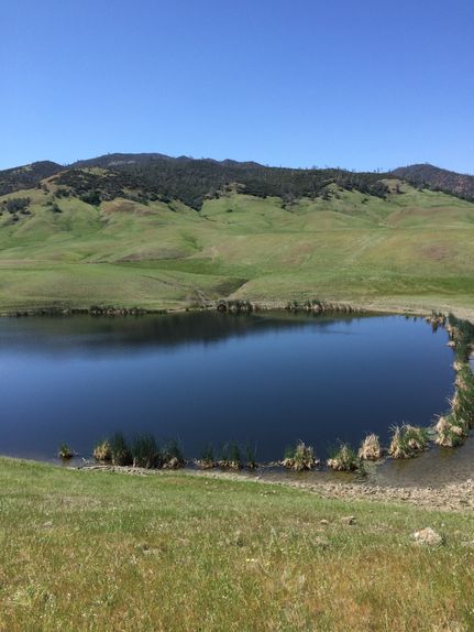 Farm Property for sale in Glenn County, California