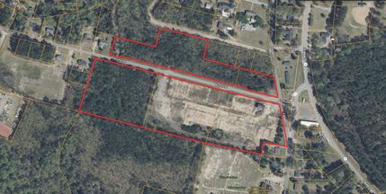 Undeveloped Land for sale in Dillon County, South Carolina