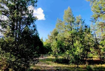 Undeveloped Land for sale in Archuleta County, Colorado