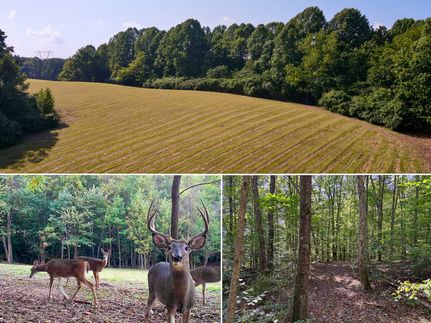 Property for sale in Vinton County, Ohio