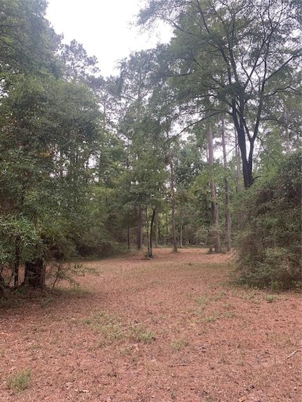 Property for sale in Polk County, Texas