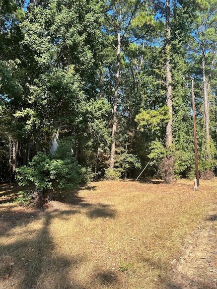 Property for sale in Polk County, Texas