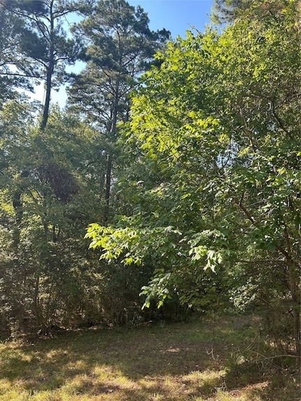 Property for sale in Polk County, Texas