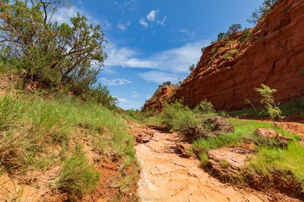 Property in Fisher County, Texas