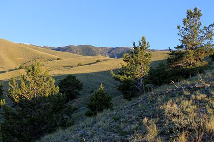 Horse Property for sale in Carbon County, Montana