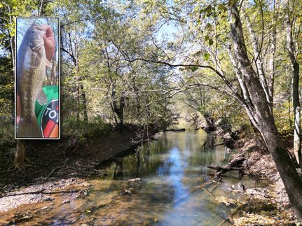 Property for sale in Gallia County, Ohio