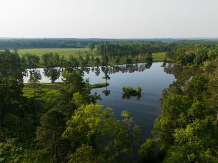 Property for sale in Barbour County, Alabama