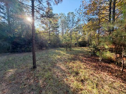 Property for sale in Covington County, Alabama