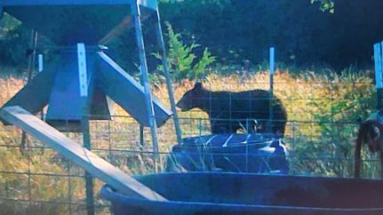 Ranch Property for sale in Edwards County, Texas