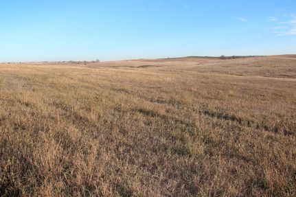 Property for sale in Tripp County, South Dakota
