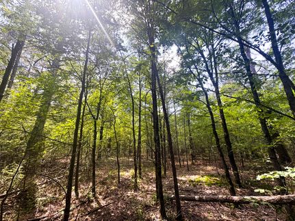 Timberland Property for sale in Monroe County, Arkansas