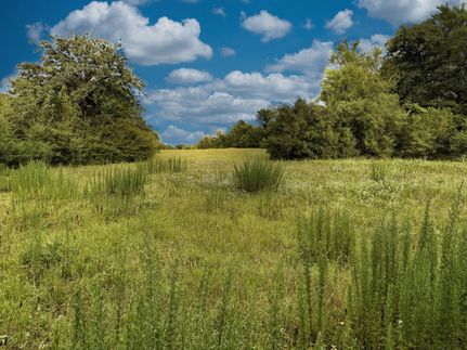 Property for sale in Robertson County, Texas