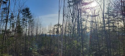 Property for sale in Hancock County, Maine