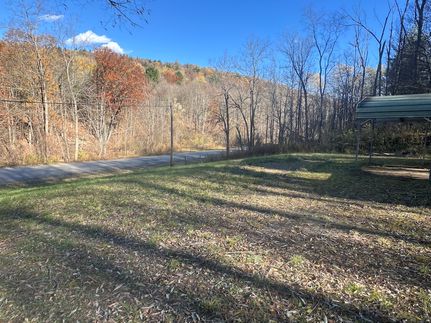 Undeveloped Land for sale in Steuben County, New York