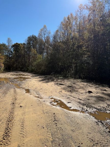 Property for sale in Marion County, Tennessee