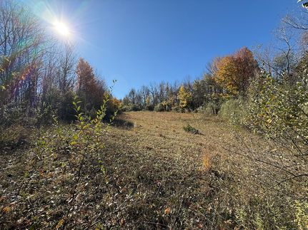 Property for sale in Wayne County, New York