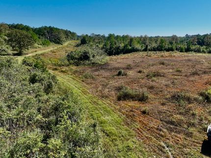 Property for sale in Marion County, Mississippi