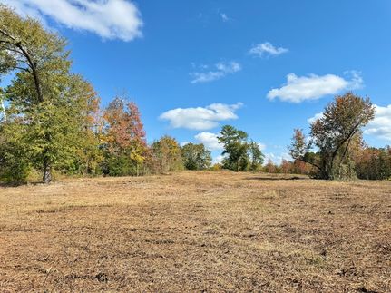 Residential Property for sale in Marlboro County, South Carolina