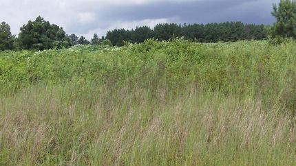 Property for sale in Jasper County, Georgia