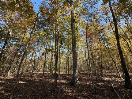 Property for sale in Blount County, Alabama