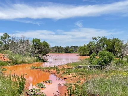 Property for sale in Taylor County, Texas