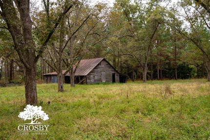 Property for sale in Bamberg County, South Carolina