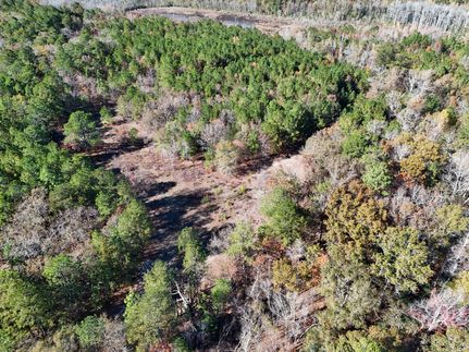 Hunting Land for sale in Lexington County, South Carolina