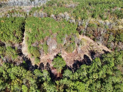 Hunting Land for sale in Lexington County, South Carolina