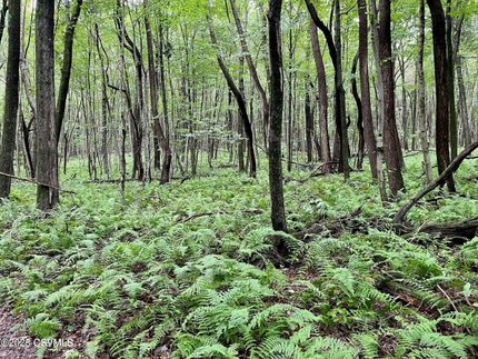 Property for sale in Columbia County, Pennsylvania