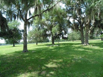Hunting Land for sale in Jefferson County, Florida