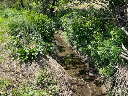 Property for sale in Saunders County, Nebraska