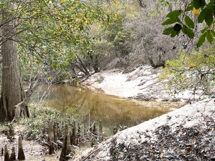 Property for sale in Baldwin County, Alabama