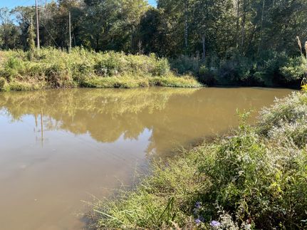 Property for sale in Pike County, Alabama