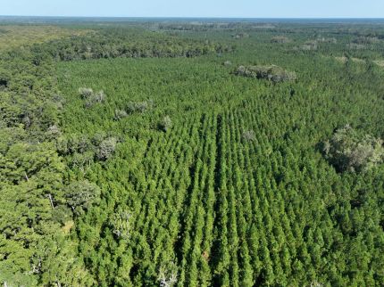 Property for sale in Camden County, Georgia