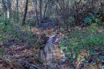 Property for sale in Stephens County, Georgia