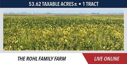 Property for sale in Vermilion County, Illinois