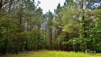 Hunting Land for sale in Gordon County, Georgia