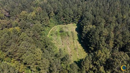 Hunting Land for sale in Union County, South Carolina