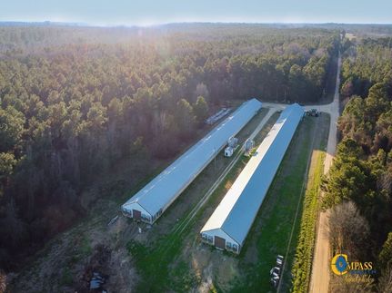 Undeveloped Land for sale in Cleveland County, Arkansas