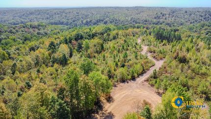 Timberland Property for sale in Stewart County, Tennessee
