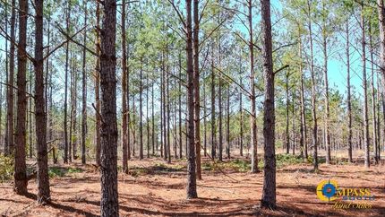 Recreational Property for sale in Kershaw County, South Carolina