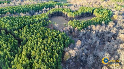 Undeveloped Land for sale in Perry County, Tennessee